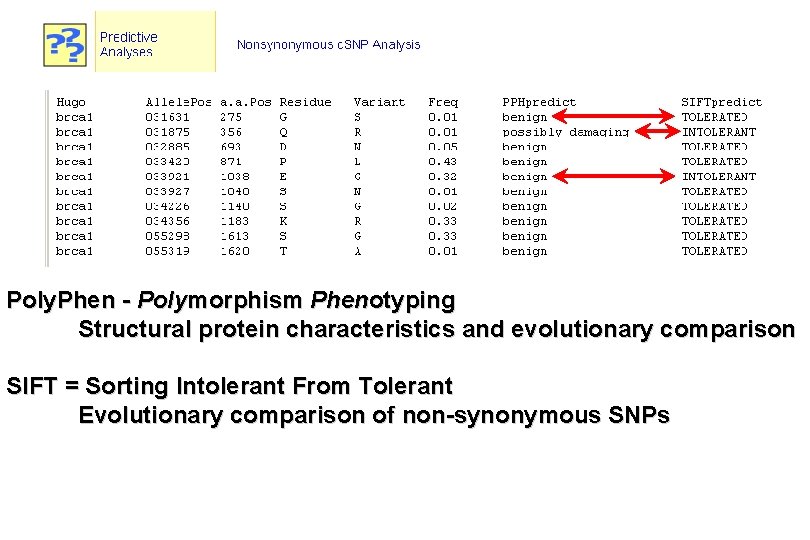 Poly. Phen - Polymorphism Phenotyping Structural protein characteristics and evolutionary comparison SIFT = Sorting