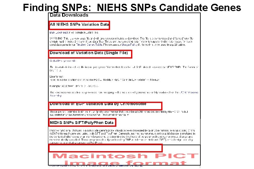 Finding SNPs: NIEHS SNPs Candidate Genes 