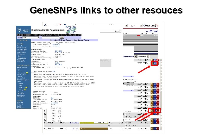 Gene. SNPs links to other resouces 