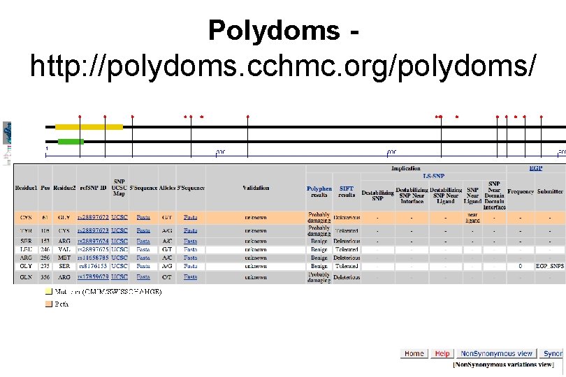 Polydoms - http: //polydoms. cchmc. org/polydoms/ Scroll Down 