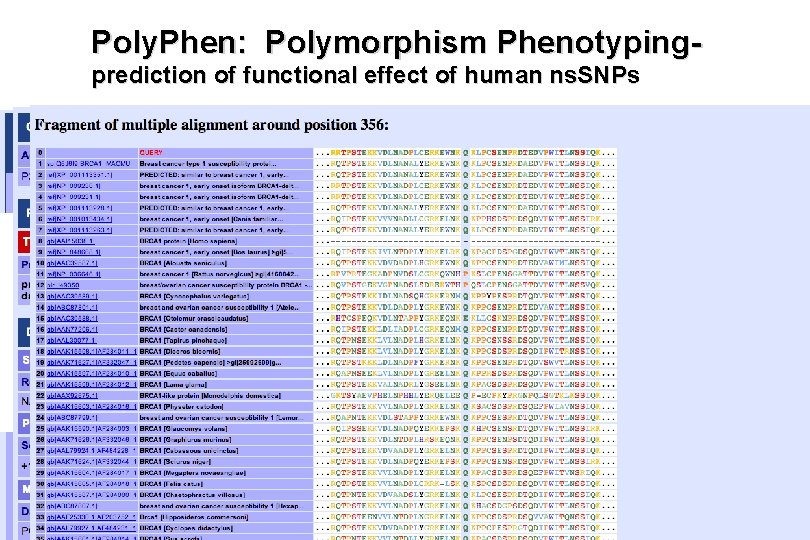 Poly. Phen: Polymorphism Phenotypingprediction of functional effect of human ns. SNPs 