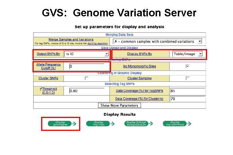 GVS: Genome Variation Server 
