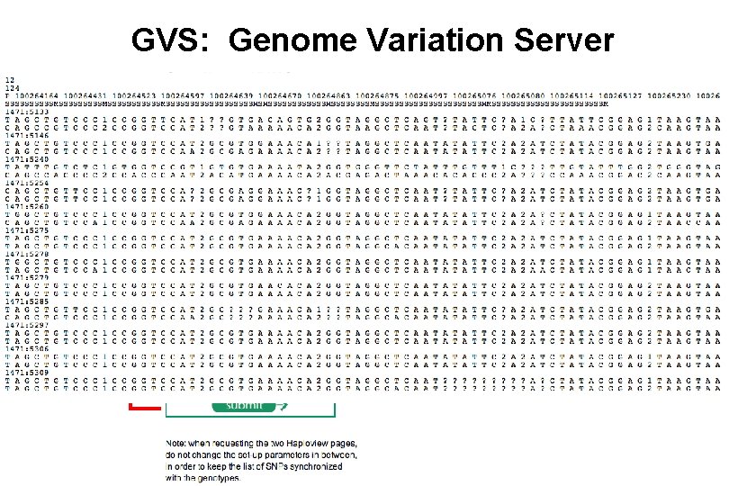 GVS: Genome Variation Server 