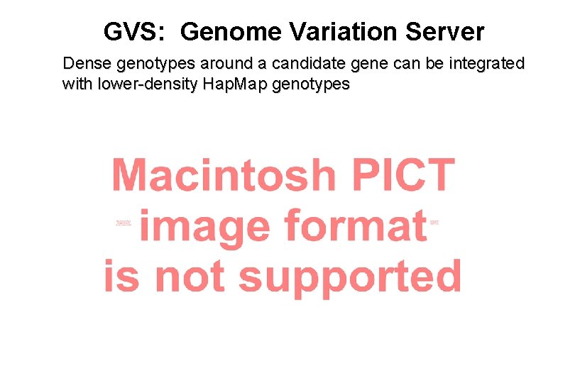 GVS: Genome Variation Server Dense genotypes around a candidate gene can be integrated with