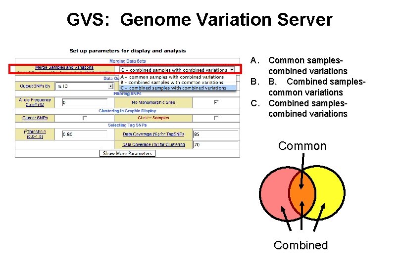 GVS: Genome Variation Server A. Common samplescombined variations B. B. Combined samplescommon variations C.