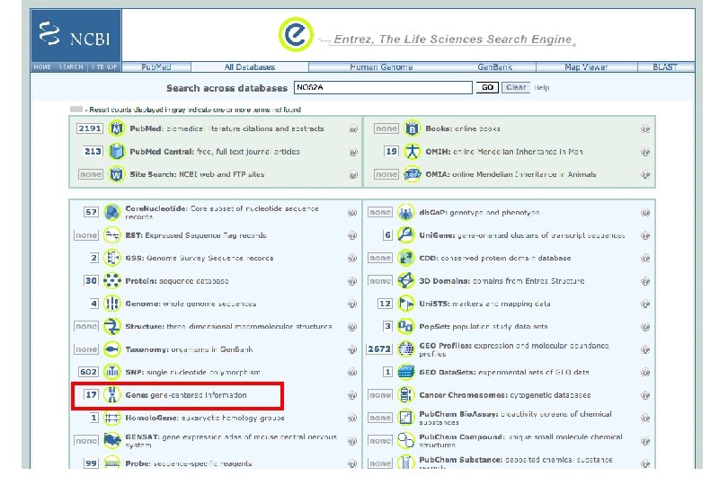 Finding SNPs using NCBI databases http: //www. ncbi. nlm. nih. gov/ 