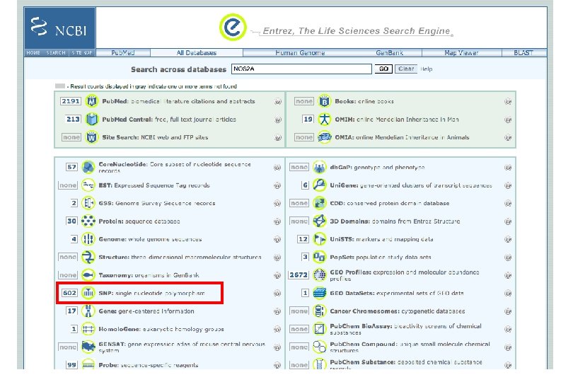 Finding SNPs using NCBI databases http: //www. ncbi. nlm. nih. gov/ 