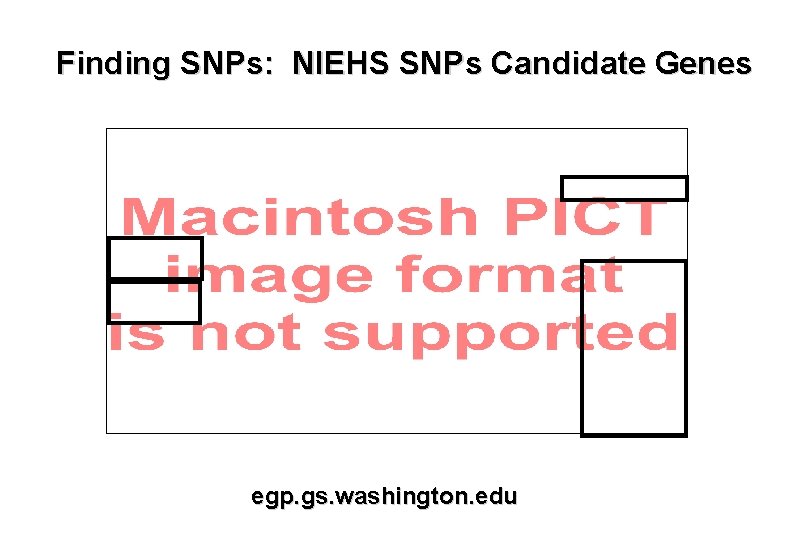 Finding SNPs: NIEHS SNPs Candidate Genes egp. gs. washington. edu 