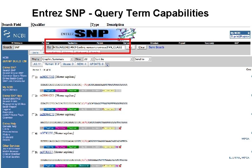 Entrez SNP - Query Term Capabilities 