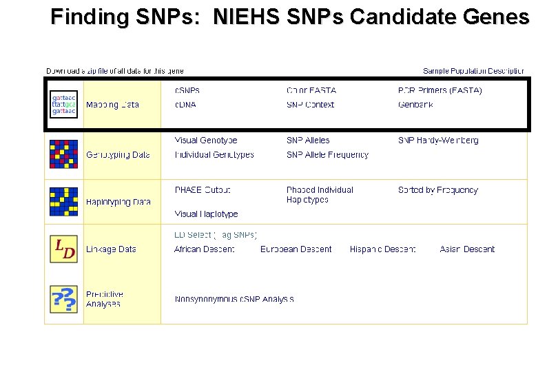 Finding SNPs: NIEHS SNPs Candidate Genes 
