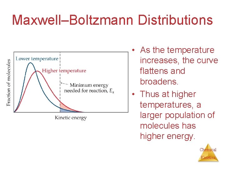 Maxwell–Boltzmann Distributions • As the temperature increases, the curve flattens and broadens. • Thus