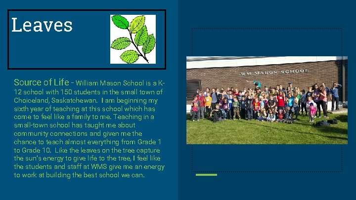 Leaves Source of Life - William Mason School is a K- 12 school with