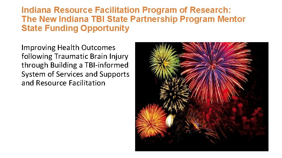 Indiana Resource Facilitation Program of Research: The New Indiana TBI State Partnership Program Mentor