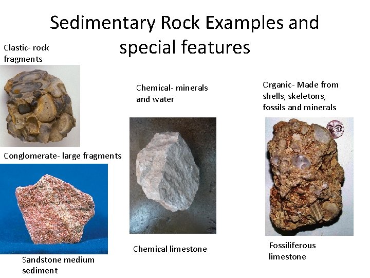 Sedimentary Rock Examples and Clastic- rock special features fragments Chemical- minerals and water Organic-