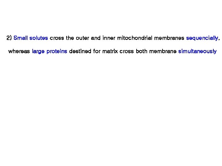 2) Small solutes cross the outer and inner mitochondrial membranes sequencially, whereas large proteins