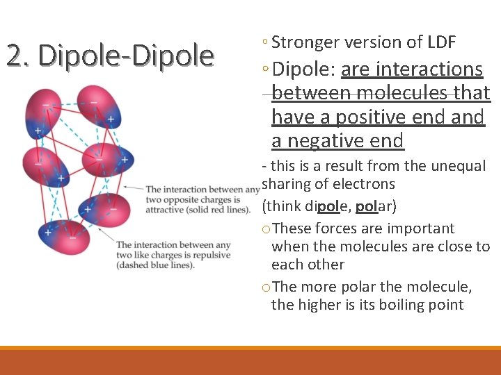 2. Dipole-Dipole ◦ Stronger version of LDF ◦ Dipole: are interactions between molecules that