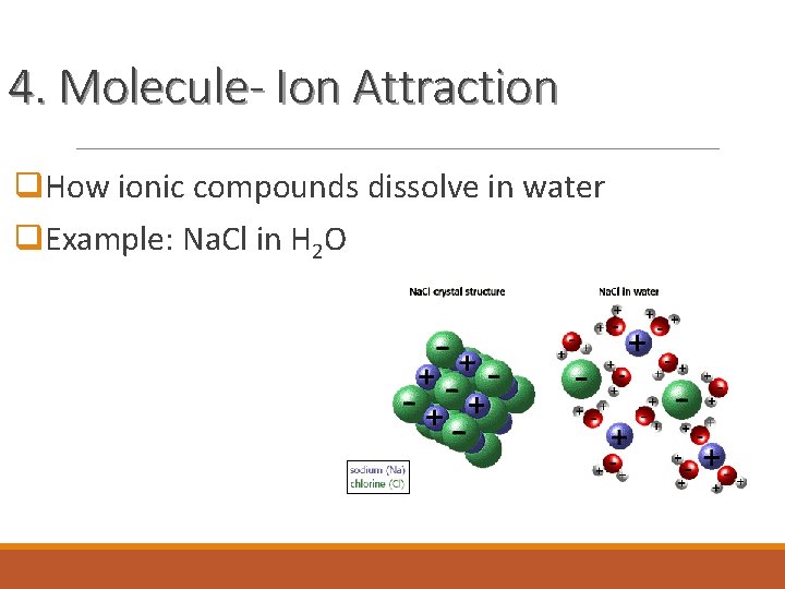 4. Molecule- Ion Attraction q. How ionic compounds dissolve in water q. Example: Na.
