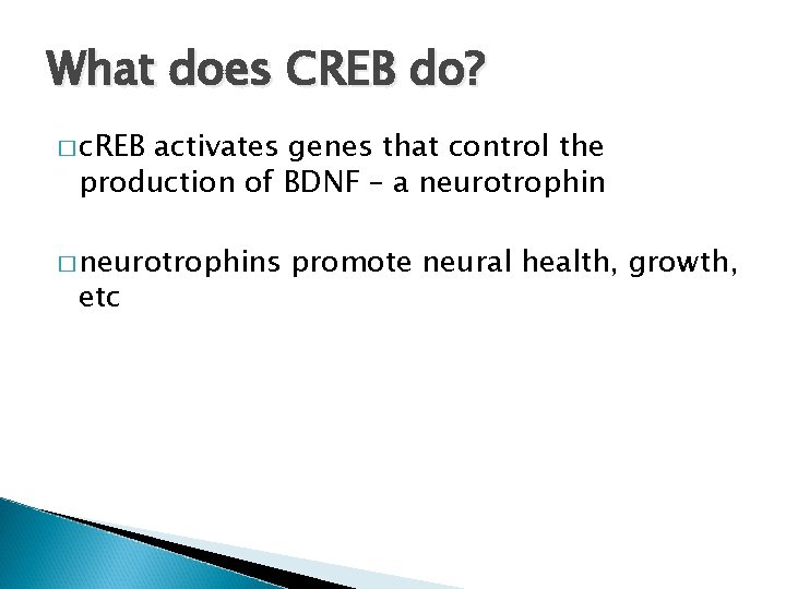 What does CREB do? � c. REB activates genes that control the production of