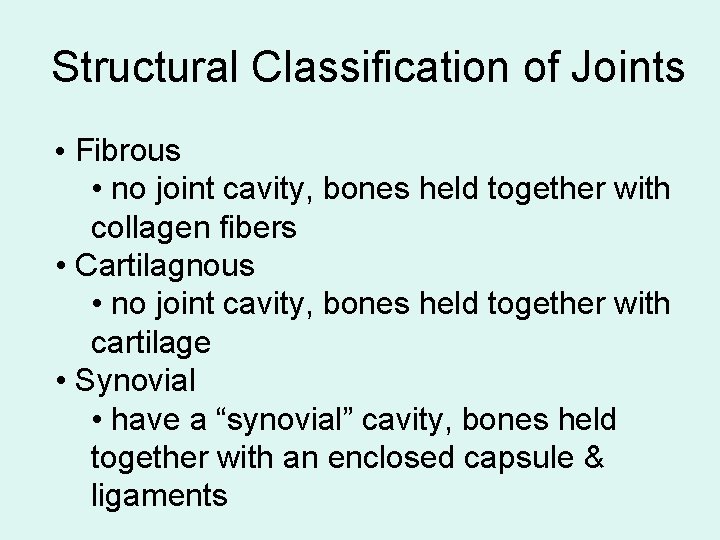 Structural Classification of Joints • Fibrous • no joint cavity, bones held together with