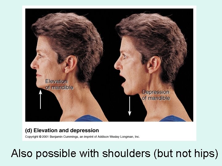 Also possible with shoulders (but not hips) Also possible with shoulders (but not hips)