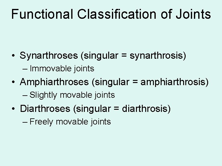 Functional Classification of Joints • Synarthroses (singular = synarthrosis) – Immovable joints • Amphiarthroses