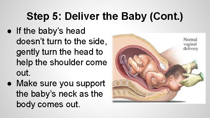 Step 5: Deliver the Baby (Cont. ) ● If the baby’s head doesn’t turn