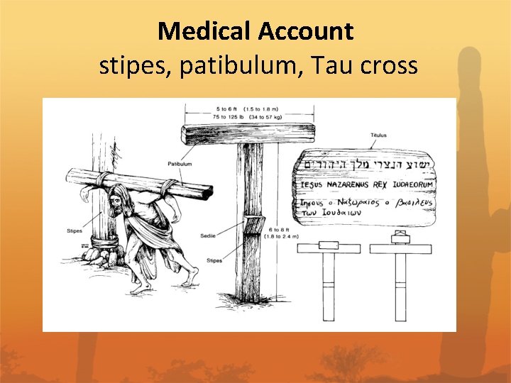 Medical Account stipes, patibulum, Tau cross 