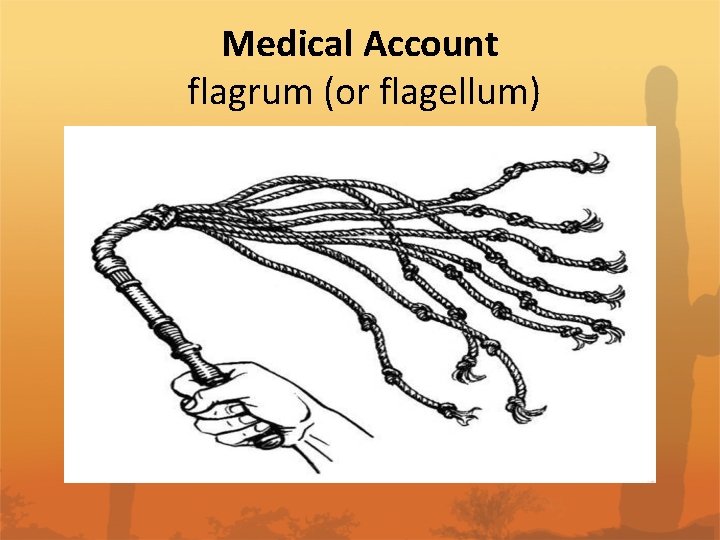 Medical Account flagrum (or flagellum) 