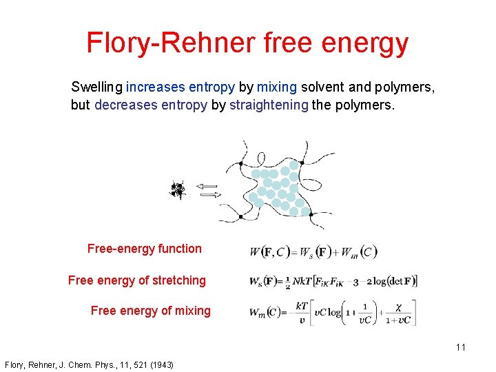 Flory-Rehner free energy Swelling increases entropy by mixing solvent and polymers, but decreases entropy