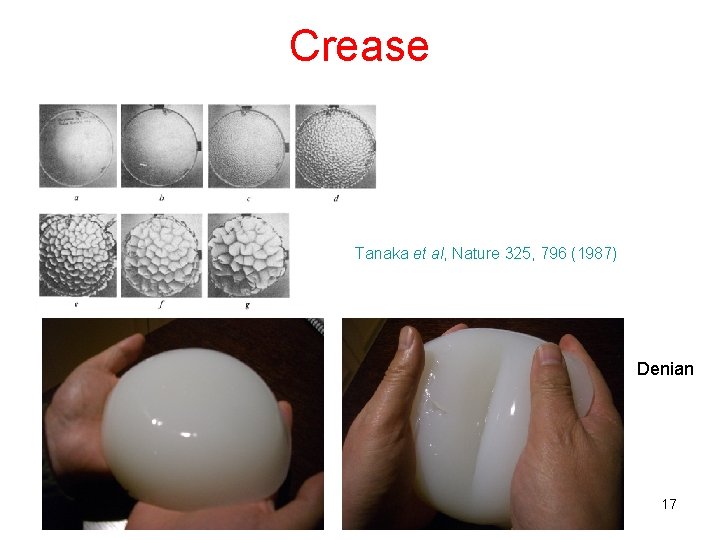 Crease Tanaka et al, Nature 325, 796 (1987) Denian 17 