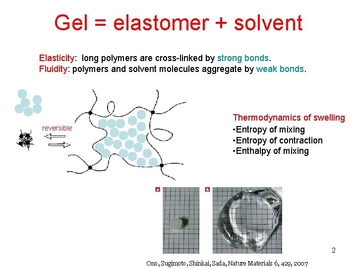 Gel = elastomer + solvent Elasticity: long polymers are cross-linked by strong bonds. Fluidity: