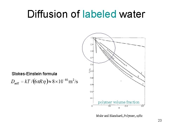 Diffusion of labeled water Stokes-Einstein formula polymer volume fraction Muhr and Blanshard, Polymer, 1982