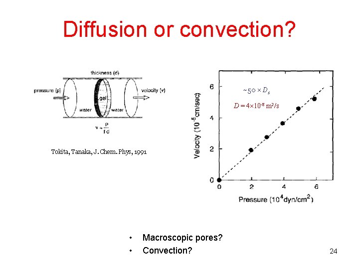 Diffusion or convection? ~50 Ds D = 4 10 -8 m 2/s Tokita, Tanaka,