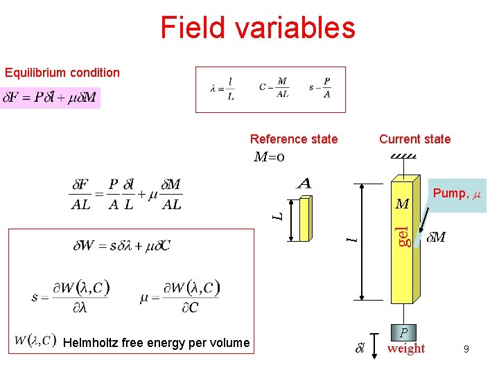 Field variables Equilibrium condition Reference state Current state M=0 Helmholtz free energy per volume