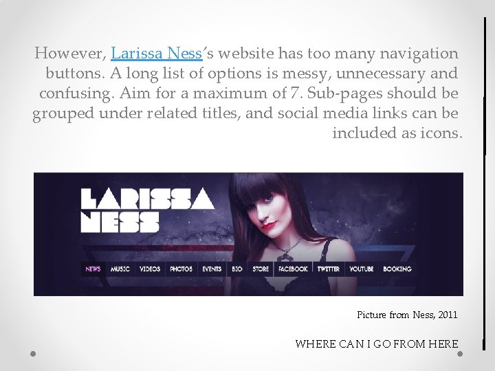 However, Larissa Ness’s website has too many navigation buttons. A long list of options