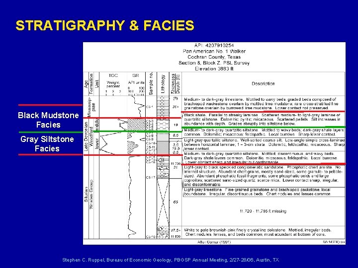 STRATIGRAPHY & FACIES Black Mudstone Facies Gray Siltstone Facies Stephen C. Ruppel, Bureau of