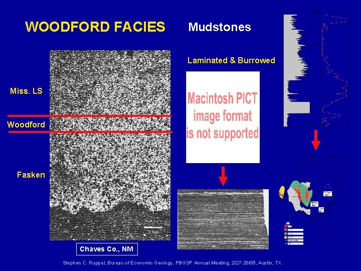 WOODFORD FACIES Mudstones Laminated & Burrowed Miss. LS Woodford Fasken Chaves Co. , NM