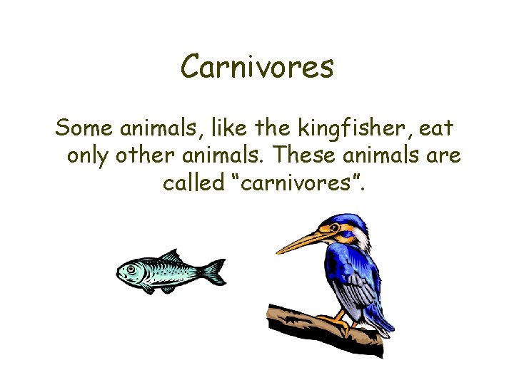 Carnivores Some animals, like the kingfisher, eat only other animals. These animals are called