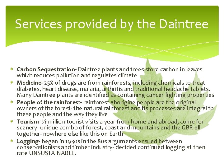 Services provided by the Daintree Carbon Sequestration- Daintree plants and trees store carbon in