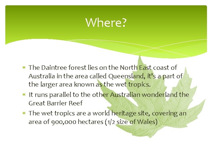 Where? The Daintree forest lies on the North East coast of Australia in the