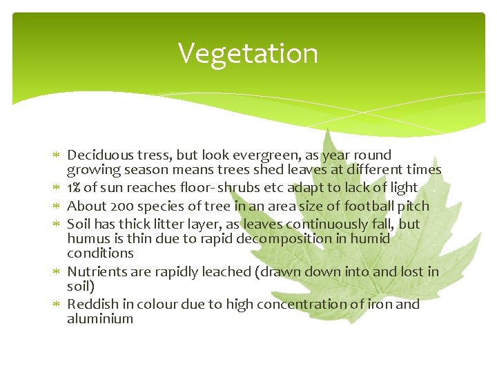 Vegetation Deciduous tress, but look evergreen, as year round growing season means trees shed