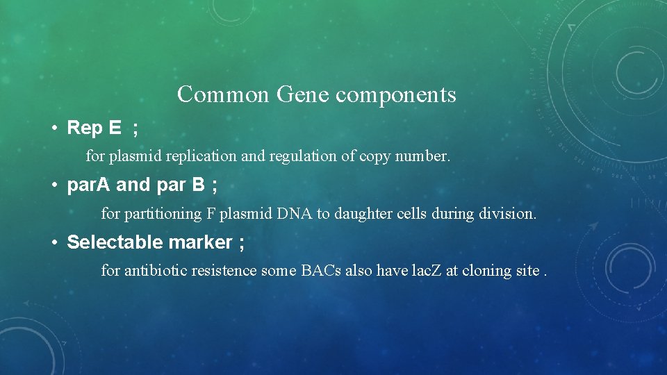 Common Gene components • Rep E ; for plasmid replication and regulation of copy