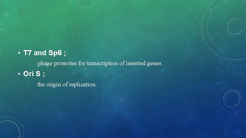  • T 7 and Sp 6 ; phage promotes for transcription of inserted
