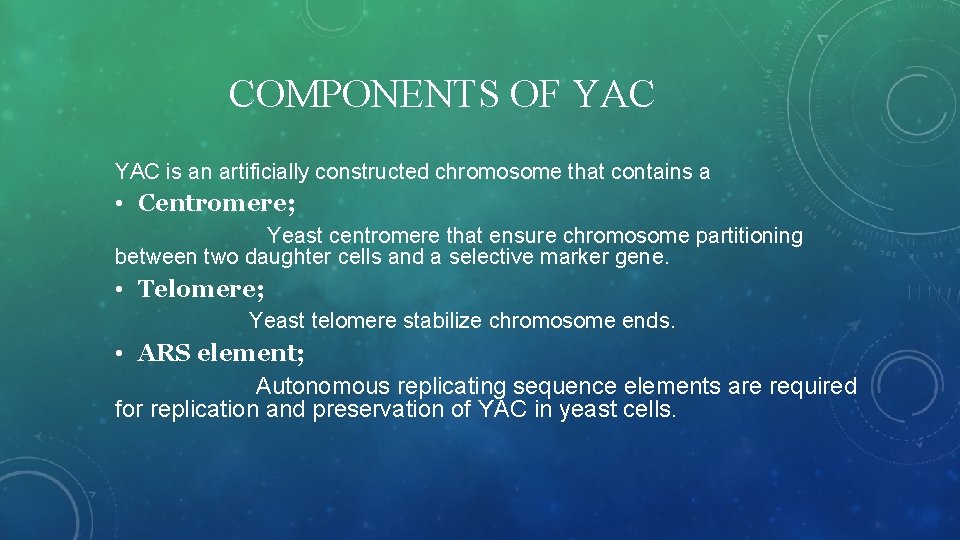 COMPONENTS OF YAC is an artificially constructed chromosome that contains a • Centromere; Yeast