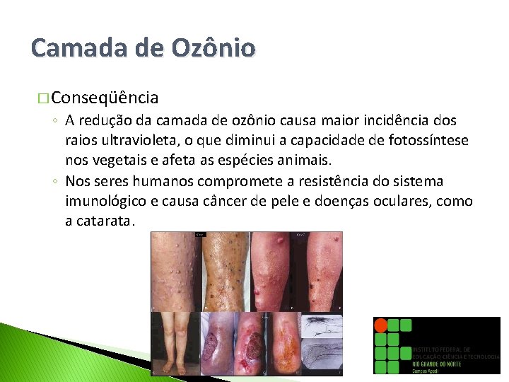 Camada de Ozônio � Conseqüência ◦ A redução da camada de ozônio causa maior