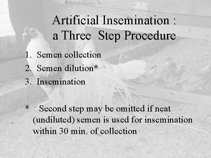 Artificial Insemination : a Three Step Procedure 1. Semen collection 2. Semen dilution* 3.