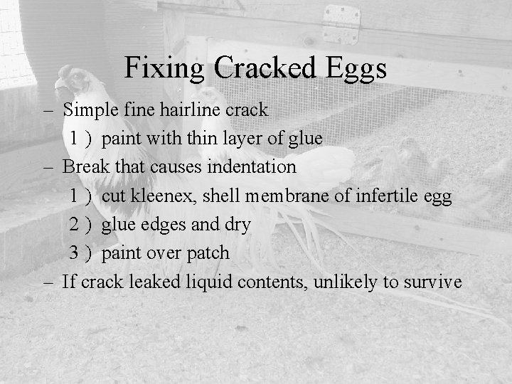 Fixing Cracked Eggs – Simple fine hairline crack 1 ) paint with thin layer