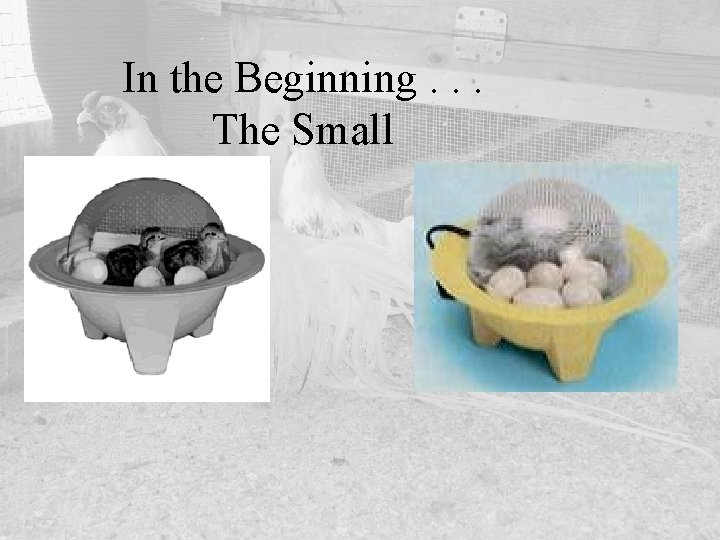 In the Beginning. . . The Small 