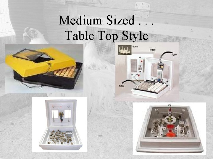 Medium Sized. . . Table Top Style 