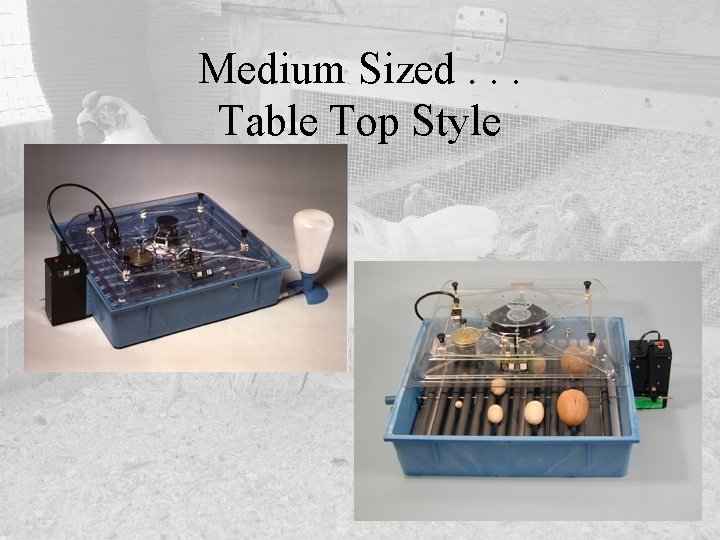 Medium Sized. . . Table Top Style 